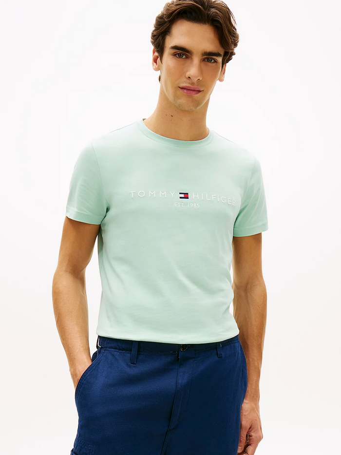 Logo Embroidery T-Shirt in Mint