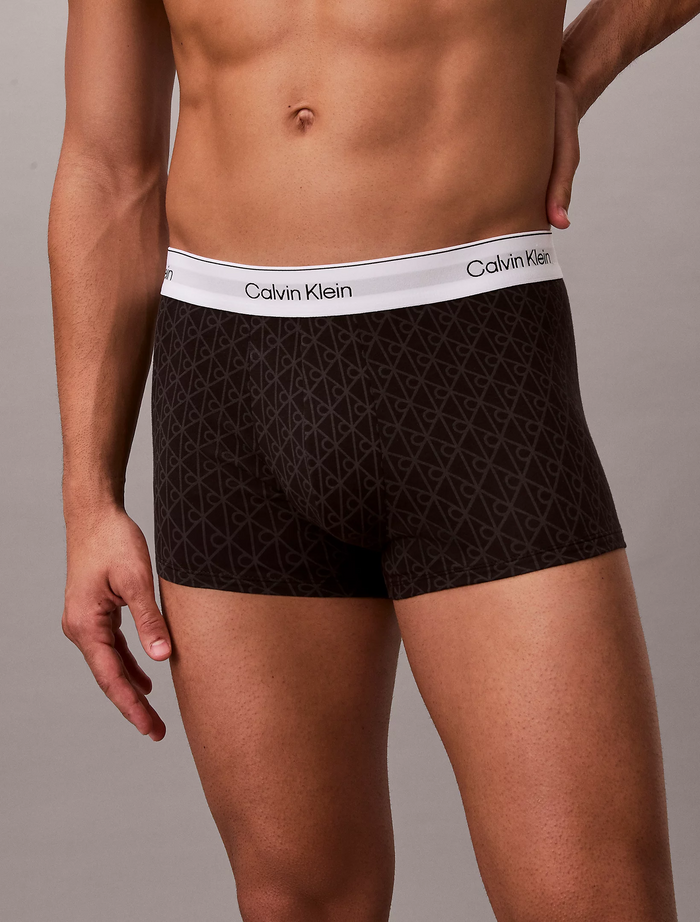 3 Pack Trunks in Sleet
