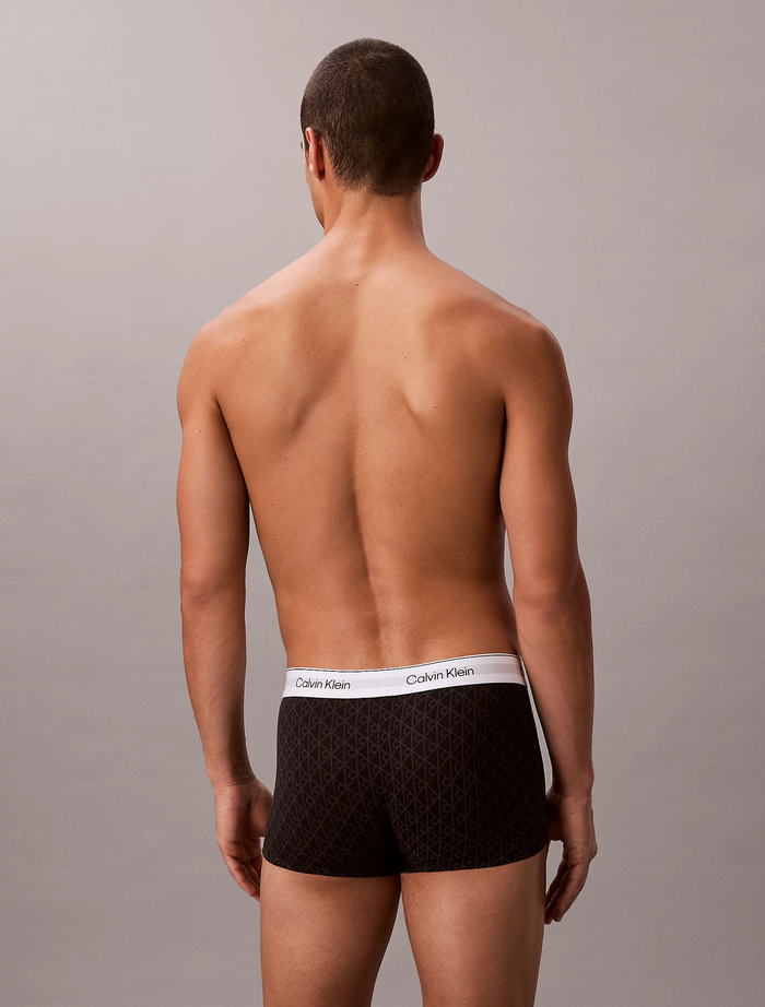 3 Pack Trunks in Sleet