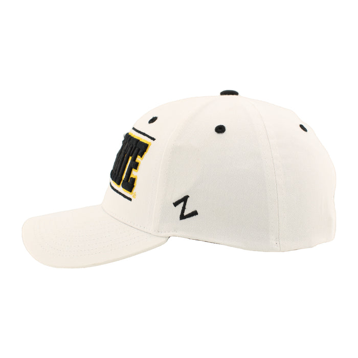 Appalachian Zephyr Citadel Snapback Hat