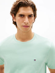 Flag Embroidery Tee in Mint